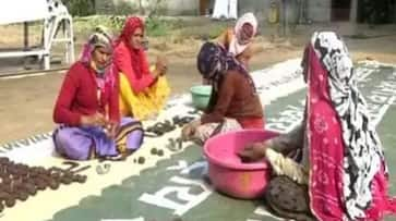 This Diwali, how about some diyas made of cow dung?