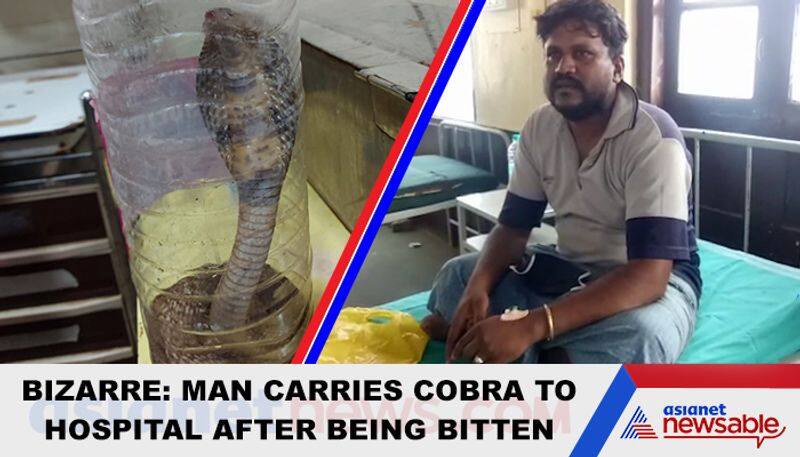 Karnataka Man rushes to hospital with a poisonous snake that had bitten him  - gps