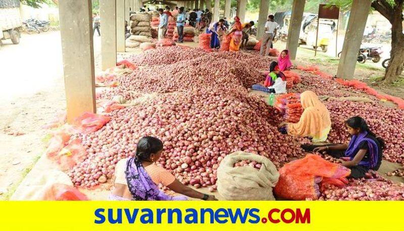 Onion Price Increase Due to Heavy Rain in Gadag District grg