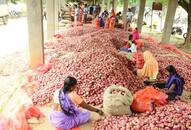 Good news: know where onion is getting 35 rupees per kg