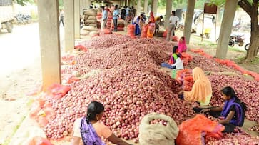 Good news: know where onion is getting 35 rupees per kg