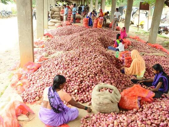 Good news: know where onion is getting 35 rupees per kg