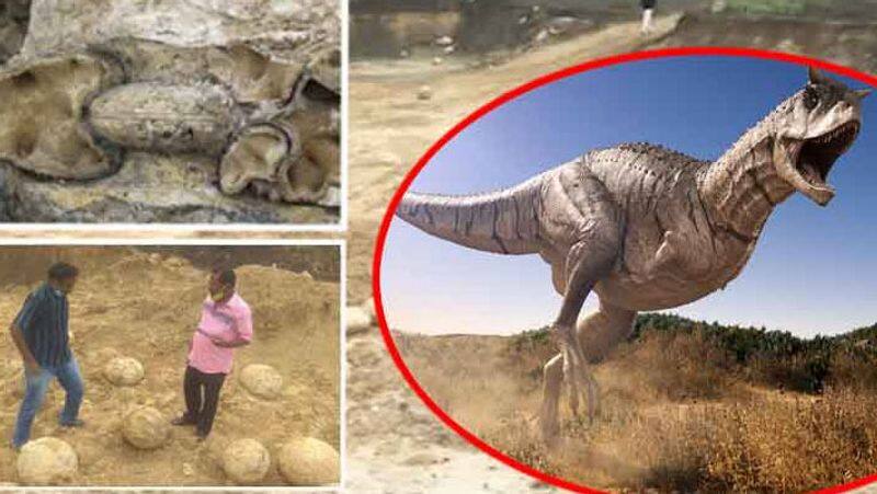 perambalur Dinosaur eggs found