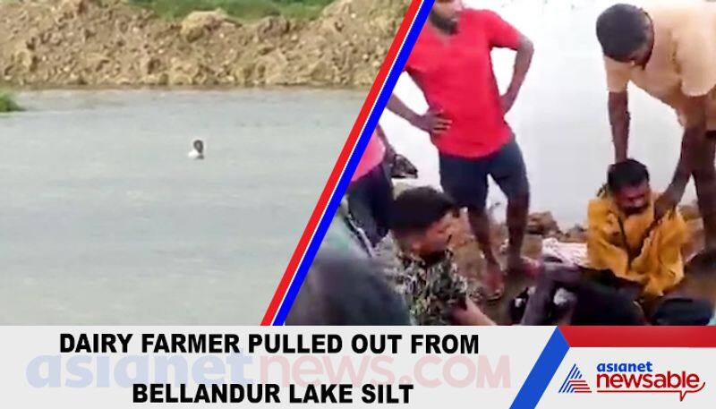 BBMP marshals rescue dairy farmer from Bellandur lake bed; video goes viral-YCB