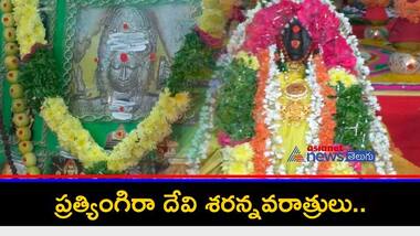 దుర్గాష్టమి విశిష్టత : మహా శక్తి శాలిని త్రిముఖ దుర్గాదేవి