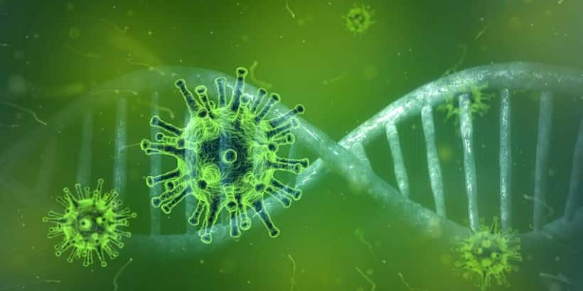 AP woman positive for Britain virus escapes quarantine center, puts several lives at risk