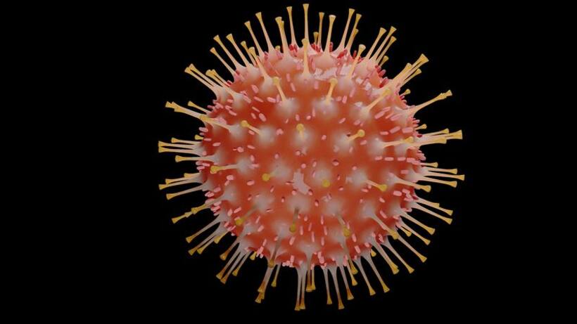 China finds coronavirus on frozen beef, tripe imported from various countries