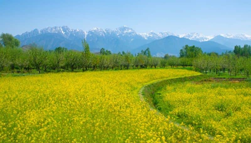 Anyone can now buy land in Jammu and Kashmir and Ladakh