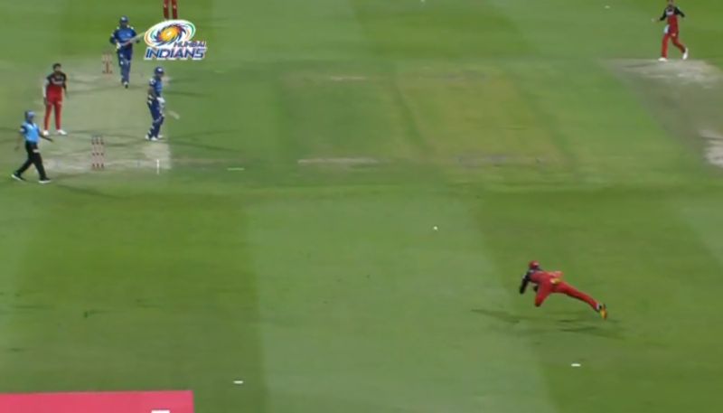 ipl 2020 watch stunning catch by Devdutt Padikkal to out Saurabh Tiwary