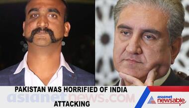 Army chief quivering, FM Qureshi said India will attack if we don't release Abhinandan by 9 pm: Pak MP recalls