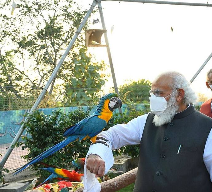 ২ দিনের গুজরাত সফরে মোদি, শনিবার দিনভর একাধিক প্রকল্পের উদ্বোধন, হবেন একতা প্যারডে সামিল