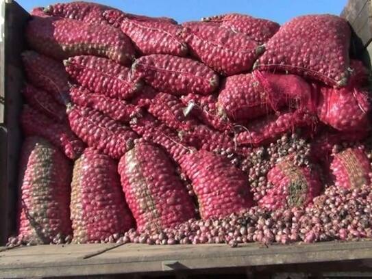 Soon onion will be cheaper, in foreign but will be cheaper than domestic arrival