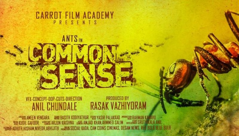 vfx short film common sense