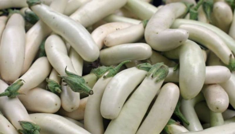 white eggplant varieties