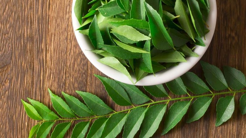 <p>In India, you will commonly find everyday kitchen ingredients being put to multiple uses and for good measure. Besides being sprinkled into the pan to make lip-smacking delicacies, they are used as home remedies for health and beauty purposes. One such local ingredient is South India's humble curry leaf.</p>
<p>In India, you will commonly find everyday kitchen ingredients being put to multiple uses and for good measure. Besides being sprinkled into the pan to make lip-smacking delicacies, they are used as home remedies for health and beauty purposes. One such local ingredient is South India's humble curry leaf.</p>