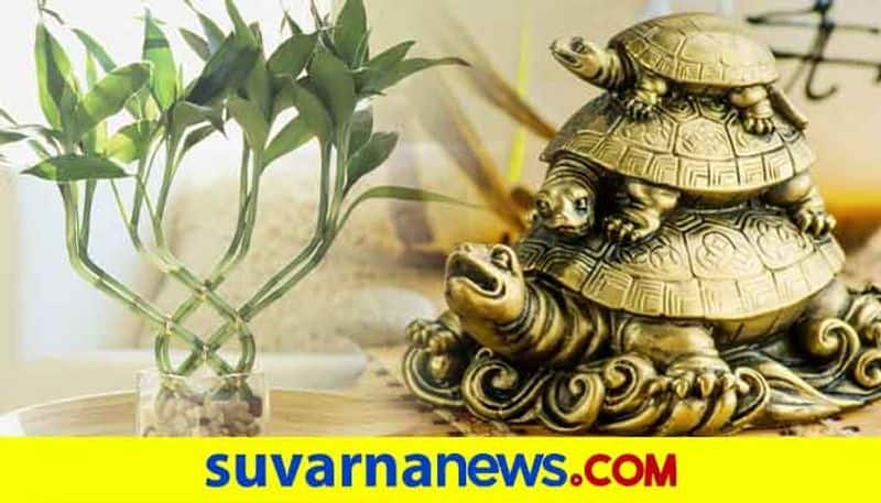 These five things will bring luck to your home as per Vaastu