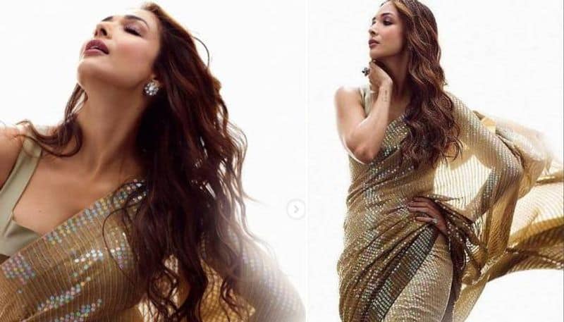 Malaika Arora in Rs 1 lakh sequinned saree