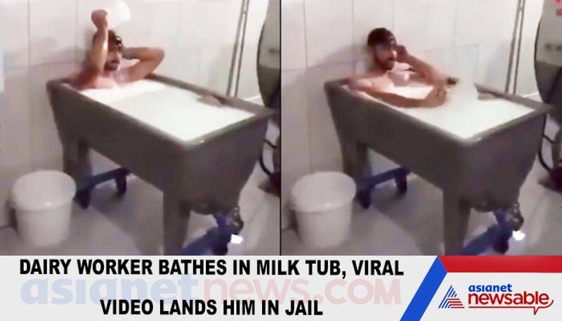 Dairy worker bathes in milk tub, viral video lands him in jail-tgy