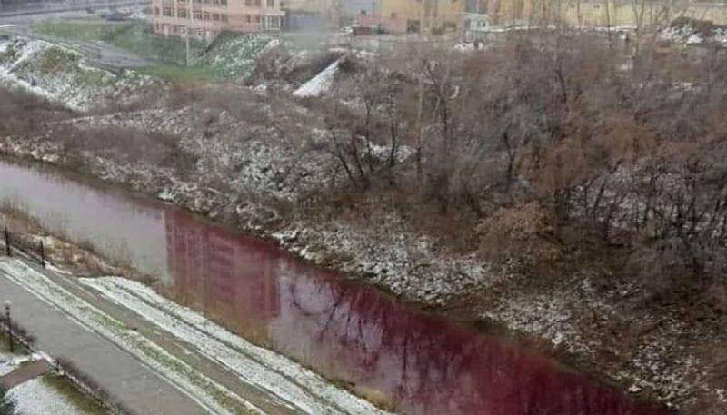 local horrified as river turned blood red in Russia