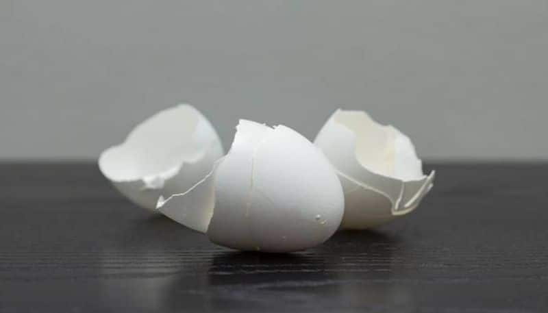 eggshells for your garden