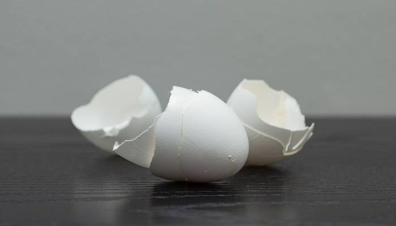 eggshells for your garden