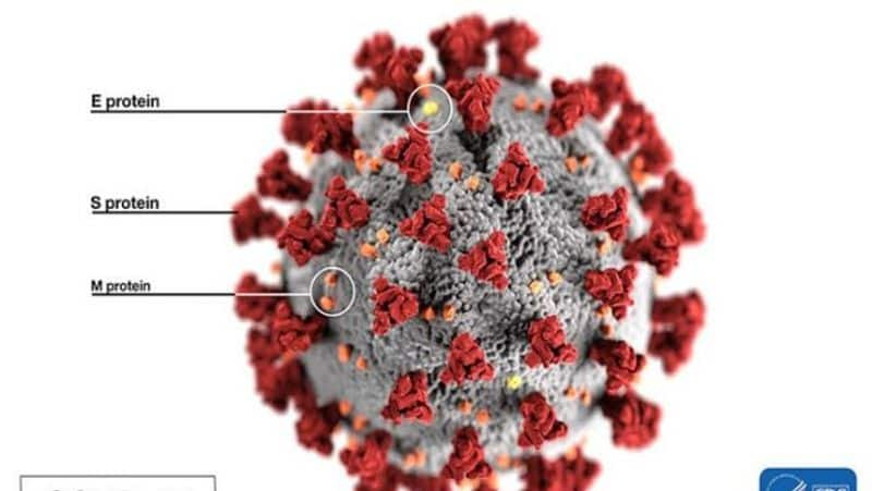 66 Indian nationals tested Covid-19 positive in Sri Lanka