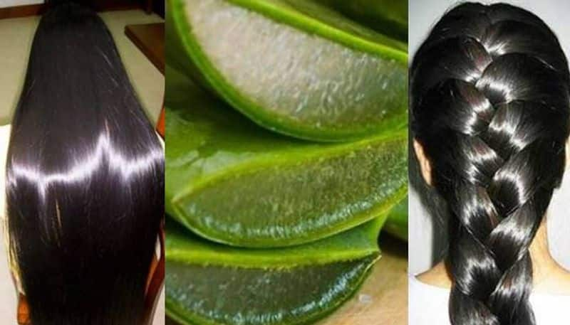 prevent dandruff and hair loss by aloe vera