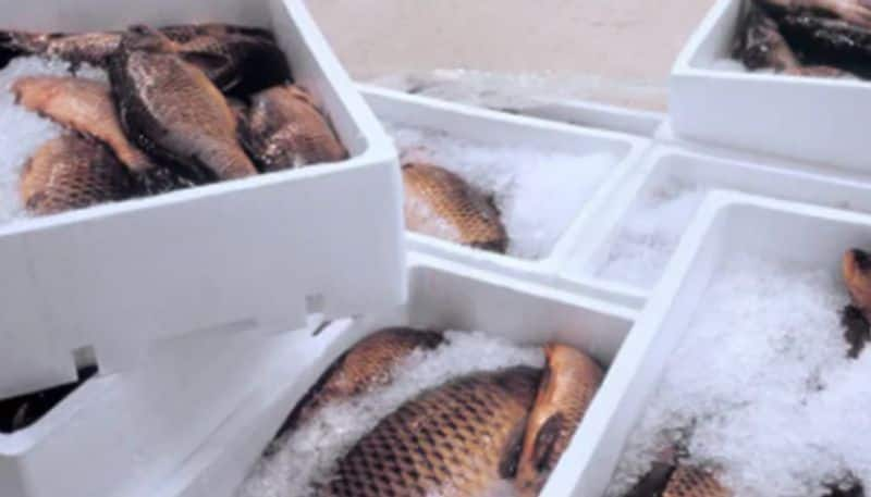 china claims that they found living coronavirus in frozen fish package