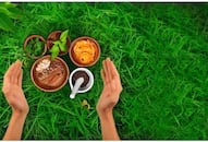 Indicating inclination for Ayurvedic products, IMPCL boasts turnover of Rs 164.33 crore