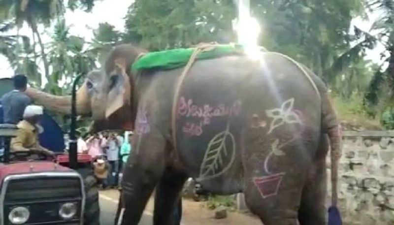 Thirsty Elephant Stops Water Tanker to Drink Water