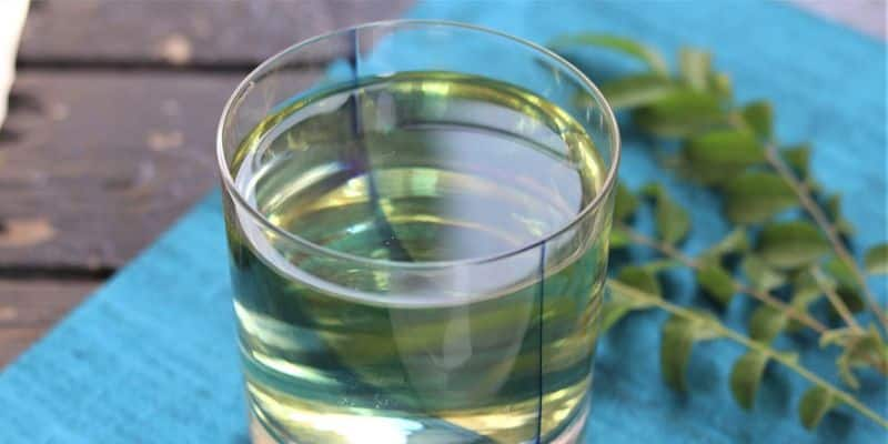 Curry leaves tea can be a boosting factor in your weight loss journey-dnm