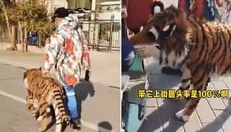 viral photo in which man walks wit tiger