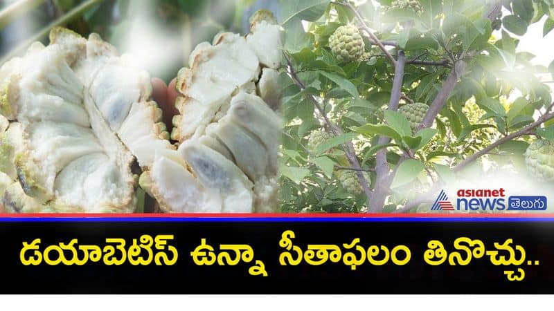 Sitaphal Myths And Facts: Here's Why You Must Have Custard Apple This Season