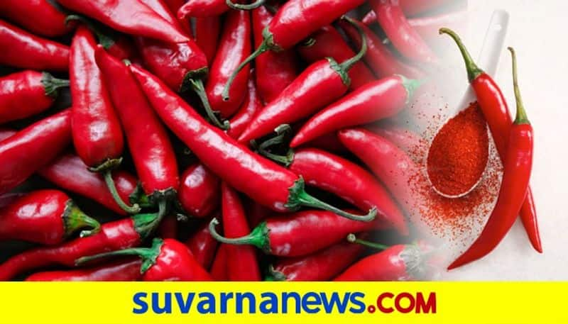 Byadgi chilli price hit all-time high snr