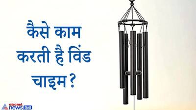 विंड चाइम से दूर हो सकते हैं घर के वास्तु दोष, जानिए किस जगह कितनी छड़ों वाली का उपयोग करना चाहिए