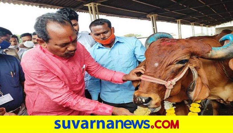 Minister Prabhu Chauhan Talks Ovre Prohibition of Cow Slaughter grg