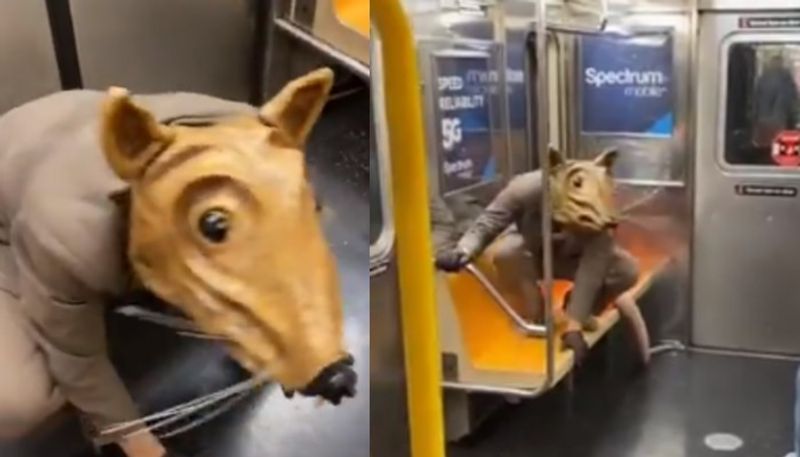 man in giant rat costume spotted in new york city subway