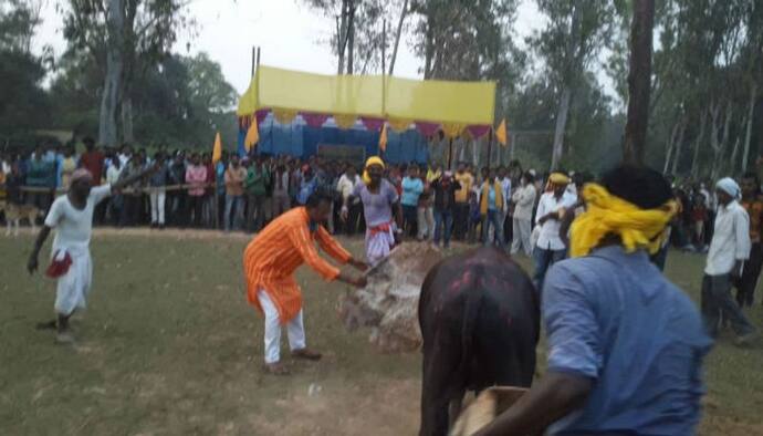 আদালতের হাজিরা এড়িয়ে বাঁদনা পরবে ছত্রধর, দাবিদাওয়া পূরণের আশ্বাস কুড়মিদের