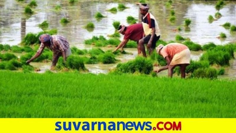 What Is The Benefit Of Farmers in Karnataka Budget 2021 snr