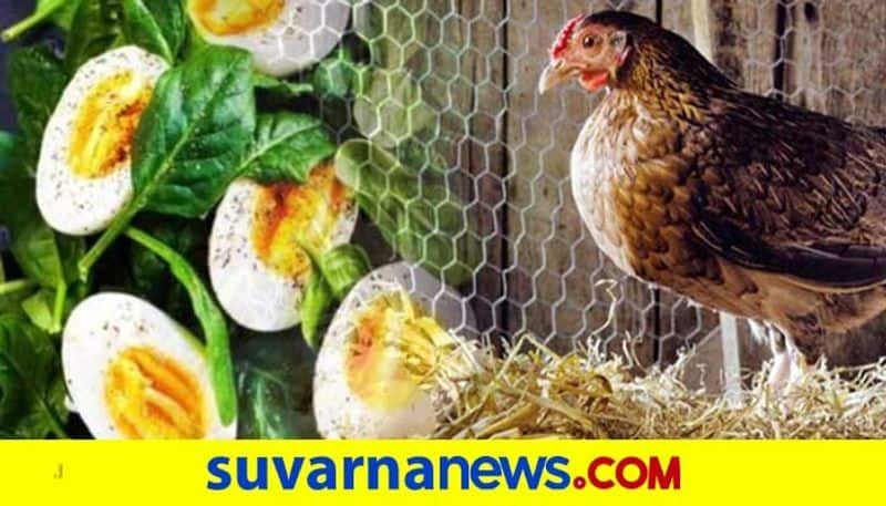 Is egg vegetarian or non vegetarian know about it