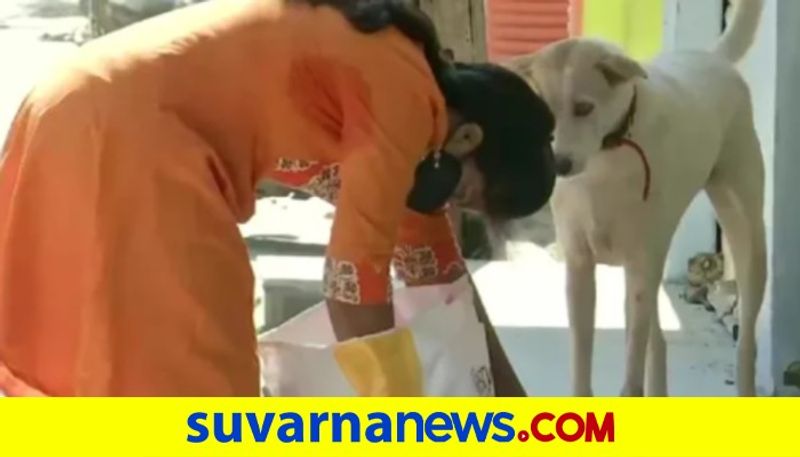 Hyderabad woman uses her savings to help stray dogs feeds them and bears their medical expenses dpl