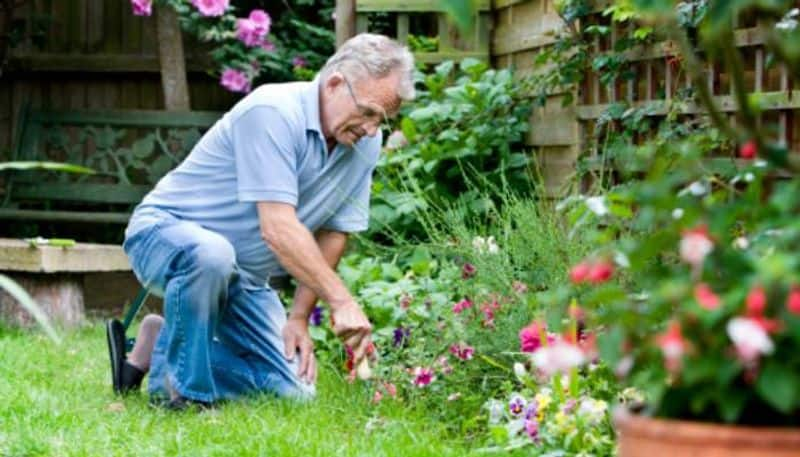 how to remove weeds from your garden