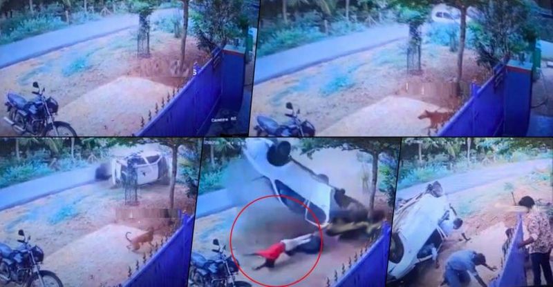 Car Accident Viral Video From Sivaganga Tamilnadu