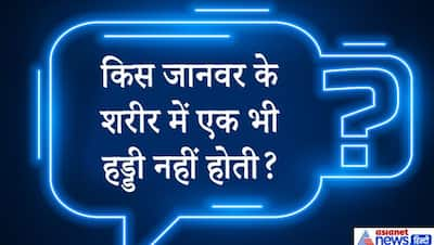 एक मेज पर एक प्लेट में 2 केले रखें हैं 3 लोगों में कैसे बराबर बाटेंगे? मजे से सॉल्व कीजिए UPSC के दिलचस्प सवाल