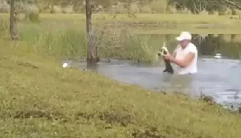 alligator catches pet dog owner Video viral