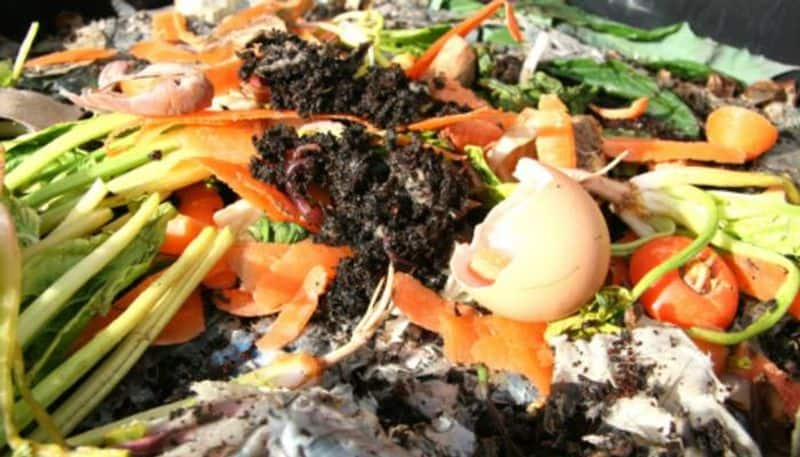 Vermicompost making in home