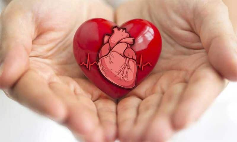 Health Doctor Advice 10  Steps Healthy Heart-VPN