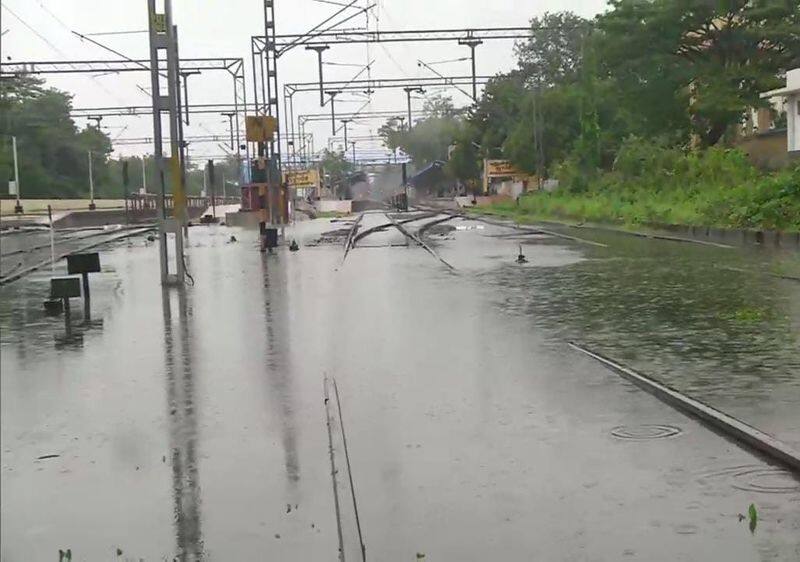 Damage to trees and electricity poles .. People are suffering without food and clothes ..!