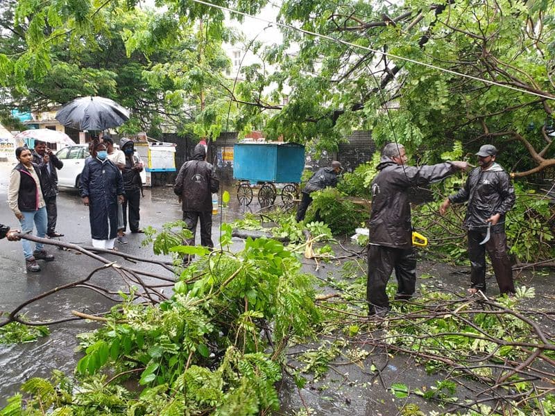 Damage to trees and electricity poles .. People are suffering without food and clothes ..!