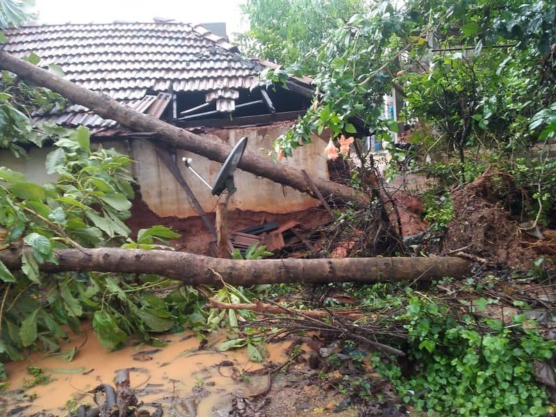 Damage to trees and electricity poles .. People are suffering without food and clothes ..!